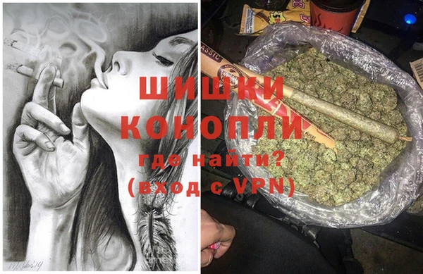 винт Алзамай