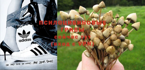 винт Алзамай