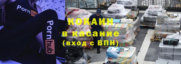 винт Алзамай